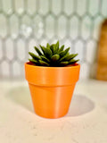 Push Pin Succlent Plant 3D Printed | Home &amp; Office Functional Decor