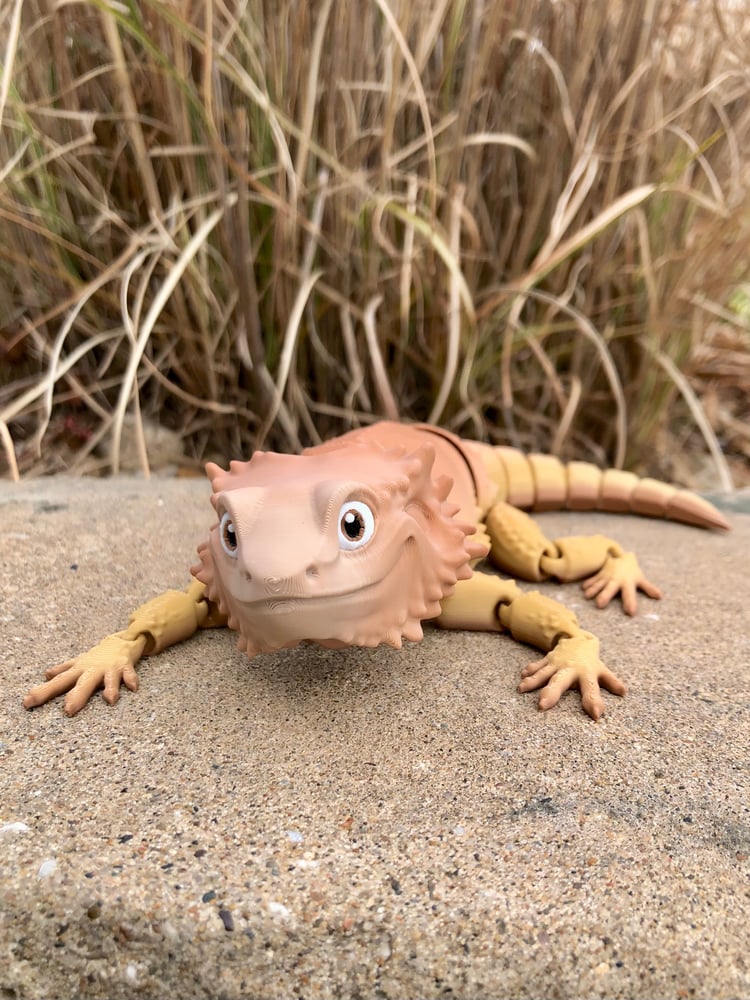 Bearded Dragon Lizard