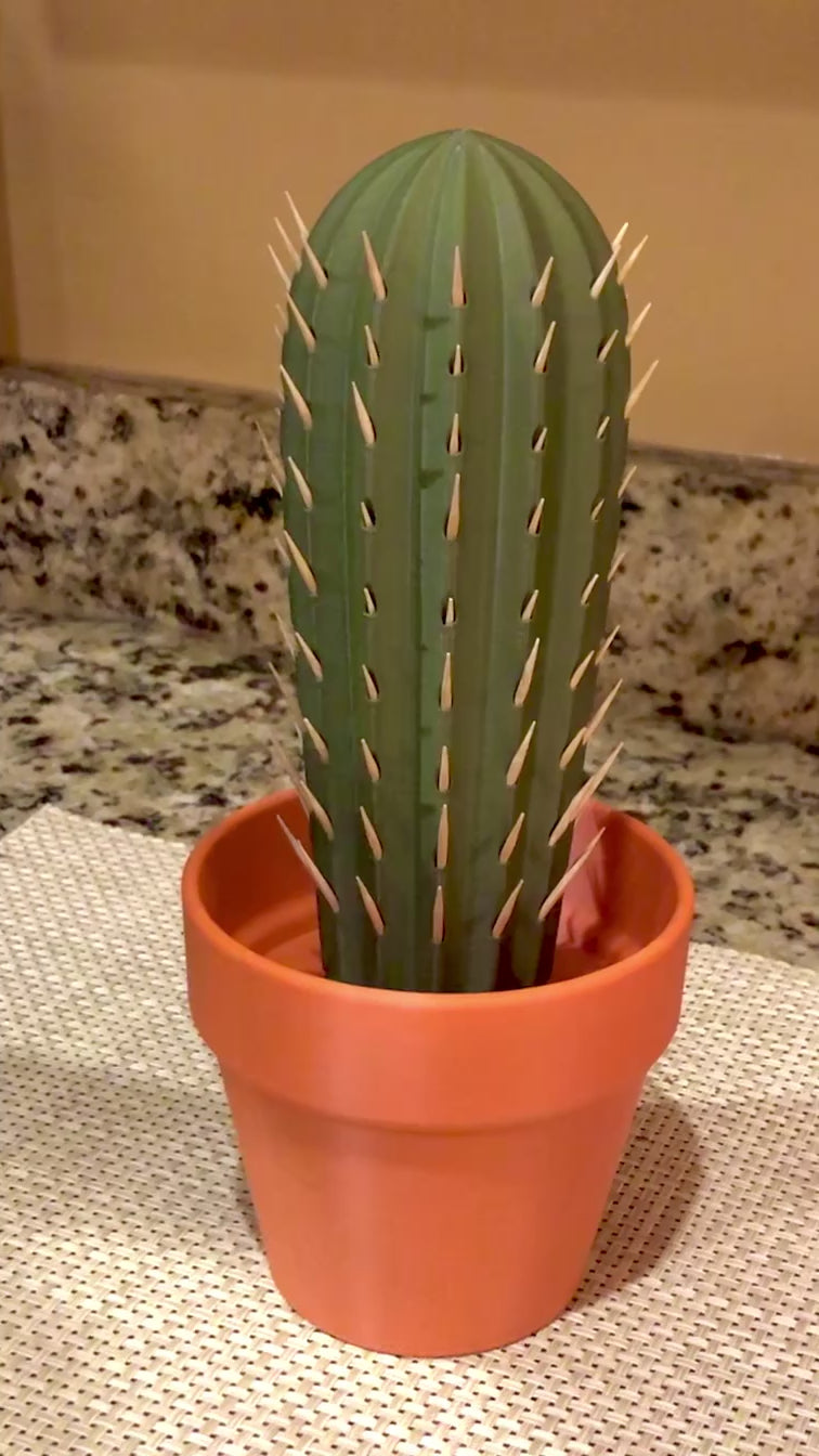 Cactus in Planter Toothpick Dispenser, 3D Printed House Plant